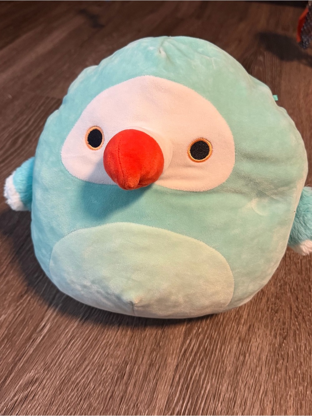 Squishmallow Shoni the dodo bird 11”